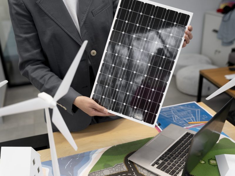 business-person-planning-alternative-energies (1)
